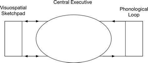 Diagram based on Baddeley and Hitch’s working memory model (Baddeley ...