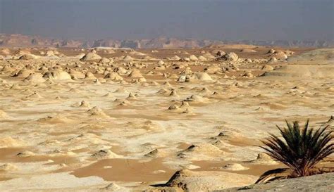 Western Desert in Egypt: Discover Hidden Oasis of Serenity