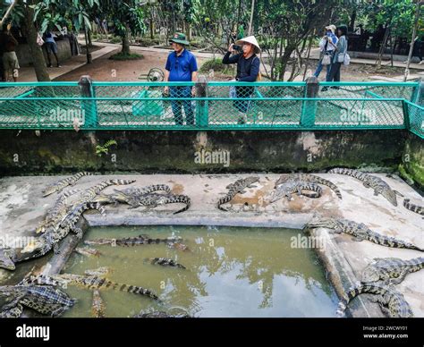 Vietnam Mekon Delta Stock Photo Alamy