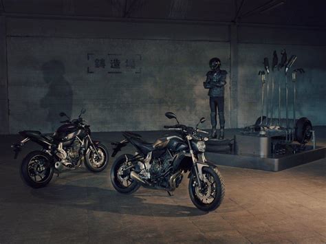 Yamaha MT 07 2014 datos oficiales y fotos de la nueva naked bicilíndrica