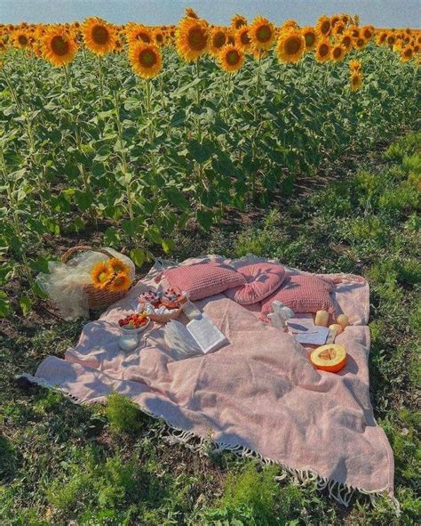 A Sunflower Field With A Blanket And Picnic Food