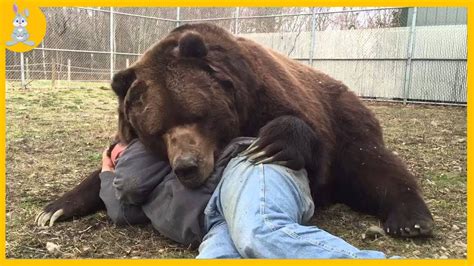 Animals Reunited With Owners After Years Animal Reunions With