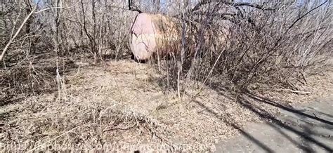 Factory Fuck Sissy Femboy And Boss Right In The Yard At Work Gay Twink