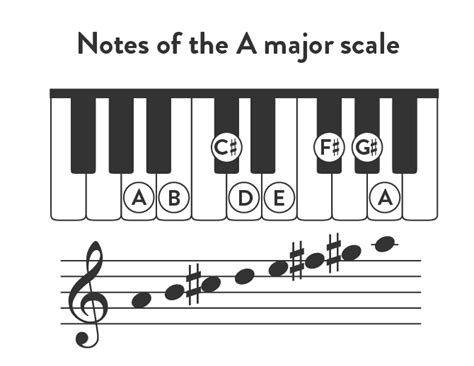 Learn the Scale of A Major: Piano Tutorial - Hoffman Academy Blog