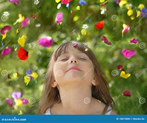 Rain of flowers stock photo. Image of happiness, daisy - 18813880