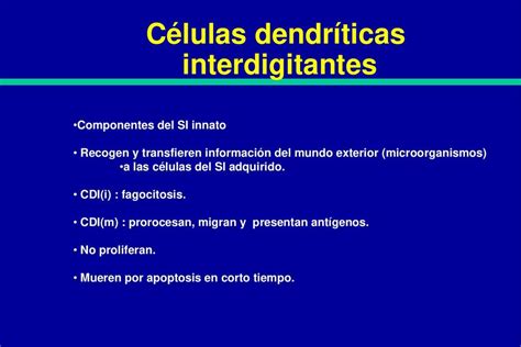 C Lulas Dendr Ticas Interdigitantes Karlo Terreros Udocz