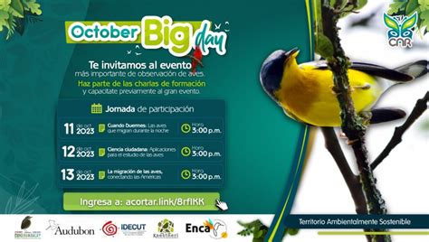 October Big Day Observación De Aves Sigci