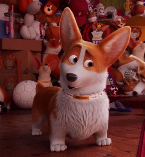 Rex Corgi Animated Animals Wiki Fandom