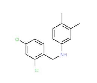 N 2 4 Dichlorobenzyl 3 4 Dimethylaniline SCBT Santa Cruz