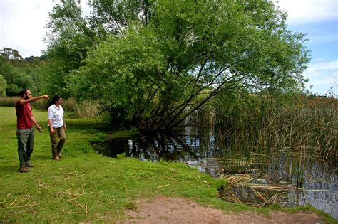 Funcionarios Provinciales De Flora Y Fauna Recorrieron La Zona Del Lago