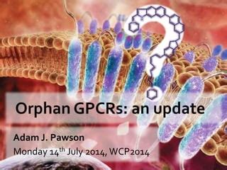 Orphan GPCRs An Update PPT