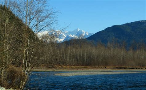 Skagit River Washington Route 20 Between Rockport And North Cascades