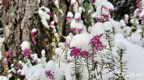 Owetter Der M Rzwinter Kommt Onetz