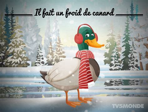 Dessin Froid De Canard Garcon