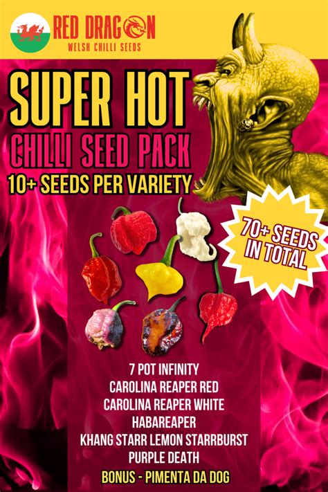 Super Hot Chilli Seeds 70 Super Hot Seeds Included Red Dragon Seeds