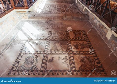 Mosaic In Paphos Archaeological Park In Cyprus Editorial Stock Image