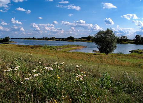 Biosph Renreservat Flusslandschaft Elbe Elbe Schiffshebewerk Landschaft