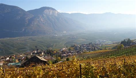 Cortaccia Sulla Strada Del Vino Sud Dellalto Adige Strada Del Vino