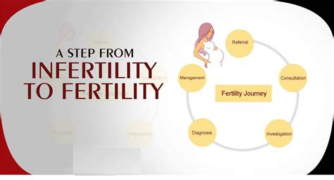 Infertility Is A Disease Of The Male Or Female Reproductive System