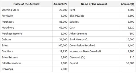 Trial Balance Meaning Objectives Preparation Format Example