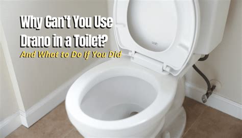 Why Cant You Use Drano In A Toilet What To Do If You Did