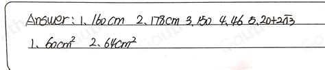 Solved Lesson Topie Differentiating Perimeter From Area Directions