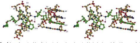 Figure 1 From The Crystal Structure Of The Complex Between A