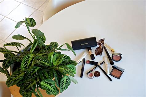 Beauty Professor First Look BY TERRY Nude Expert Duo Stick Foundation