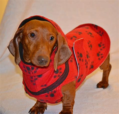 Hooded Fleece Rain Coat With Hookup And Go Leash System Dachshund