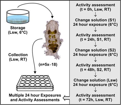 Frontiers New Insights Into Osmobiosis And Chemobiosis In Tardigrades