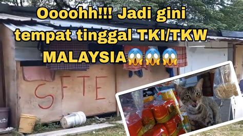 Oooh Jadi Kayak Gini Tempat Tinggal Tki Tkw Di Malaysia Yang Kerja