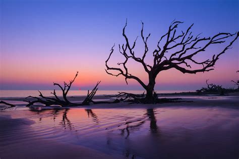 Driftwood Beach on Jekyll Island | Jekyll Island Club Resort