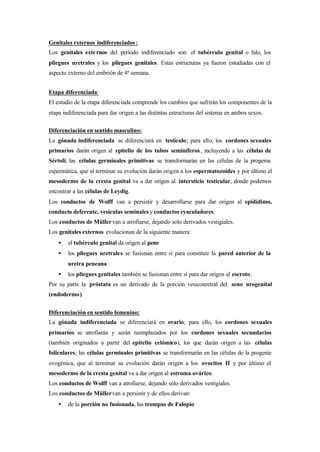 Sistema Reproductor Pdf