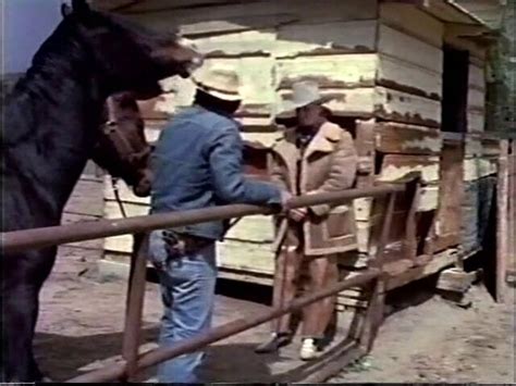 Retro Usa S Eating Pussy Eating Pussy Porn Feat Sabrina Dawn XHamster