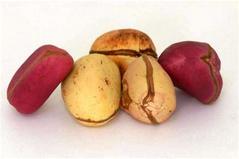 Kola Nut Ceremony