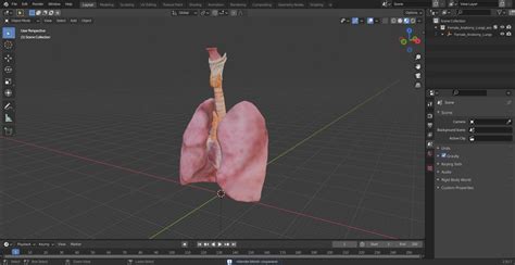 Female Anatomy Lungs And Heart 3d Model 129 3ds Blend C4d Fbx