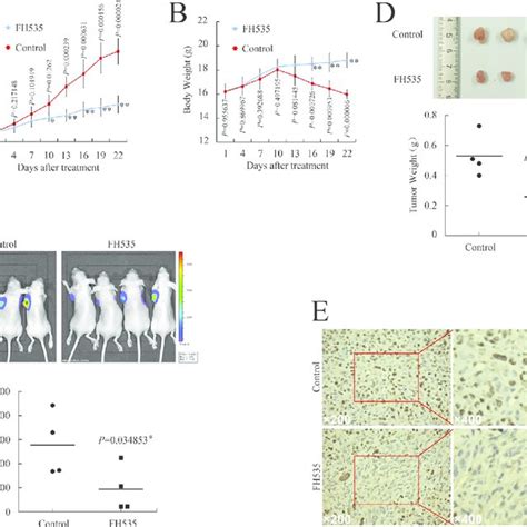 Fh535 Repressed Pancreatic Cancer Xenograft Growth In Vivo A And B