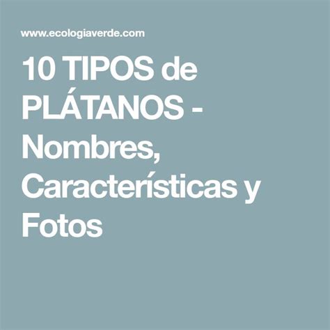 10 TIPOS de PLÁTANOS Nombres Características y Fotos