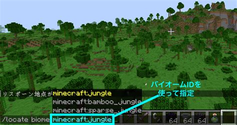 【マイクラjava版統合版スイッチ】構造物とバイオームのid一覧｜構造物id・バイオームidを使ったコマンドの例、探し方なども紹介
