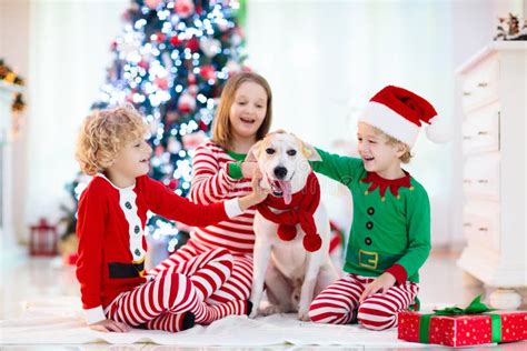 Navidad En Casa Niños Y Perros Bajo árbol De Navidad Imagen de archivo