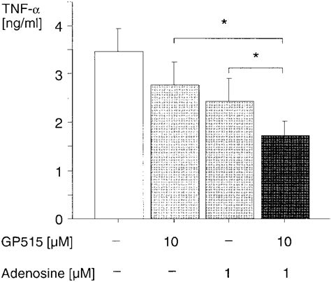 Additive Suppression Of Tnf Formation By The Combination Of Gp515 And