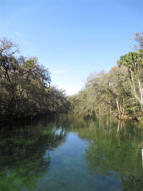 Blue Springs State Park - Florida Florida Sunshine, Sunshine State ...