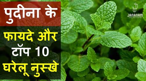 पुदीना के फायदे और टॉप 10 घरेलू नुस्खे Pudina Ke Fayde Health