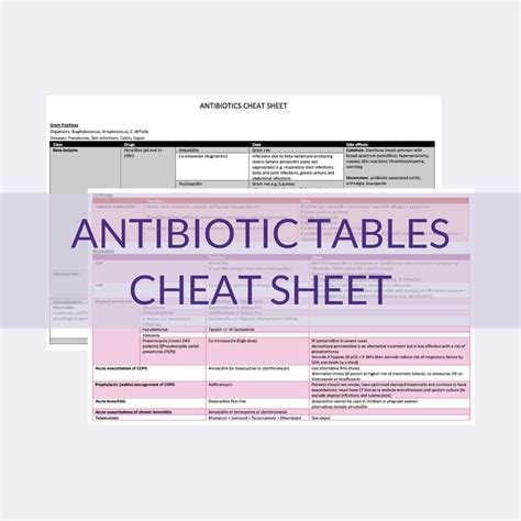 Antibiotic Tables Cheat Sheet Etsy