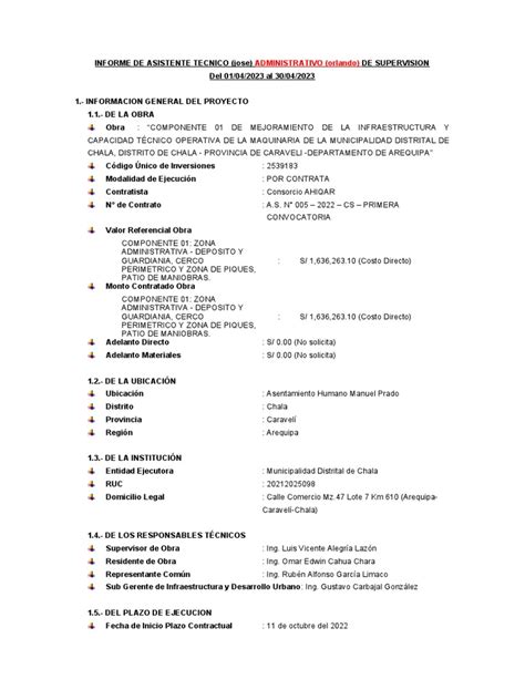 Informe Asistente | PDF 