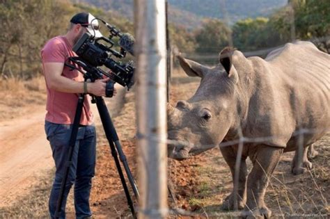 Ein Nashorn näherte sich dem Wildtierfotografen und bat um einen