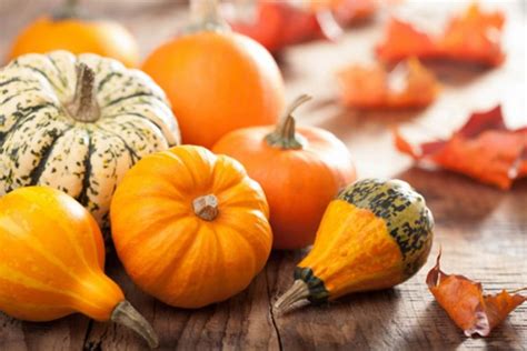 Прикорм тыква - Энциклопедия Детское питание