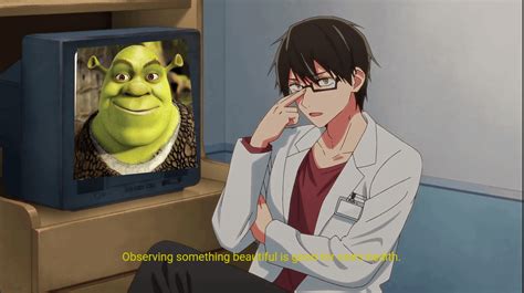 Made a shrek meme from the new "My star" anime : r/memes