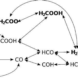 A schematic overview of all the elementary reaction steps considered ...