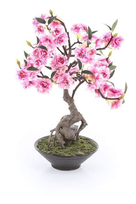 Sztuczne Drzewko Wi Nia Bonsai Cerasum Cm Hydroponika Pl